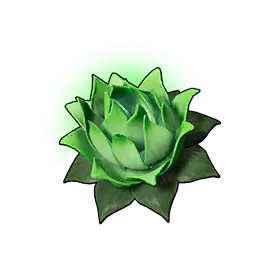 生命之莲（小）